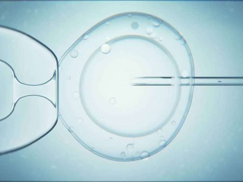 embryoaidnew_090